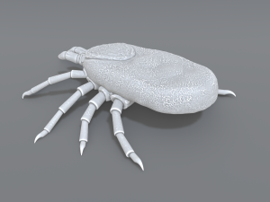 tick Modello di stampa 3D