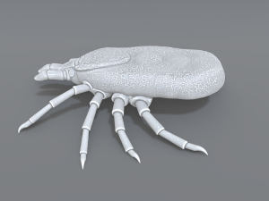 tick Modello di stampa 3D
