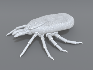 tick Modello di stampa 3D