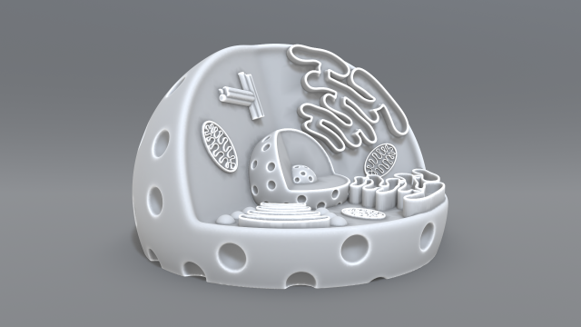 animal cell 3d print model 3D 打印模型 .c4d .max .obj .3ds .fbx .stl .blend 