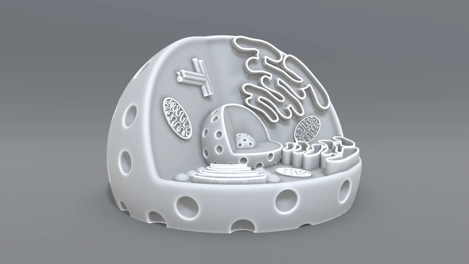 animal cell 3d print model 3D Print Model .c4d .max .obj .3ds .fbx .stl .blend