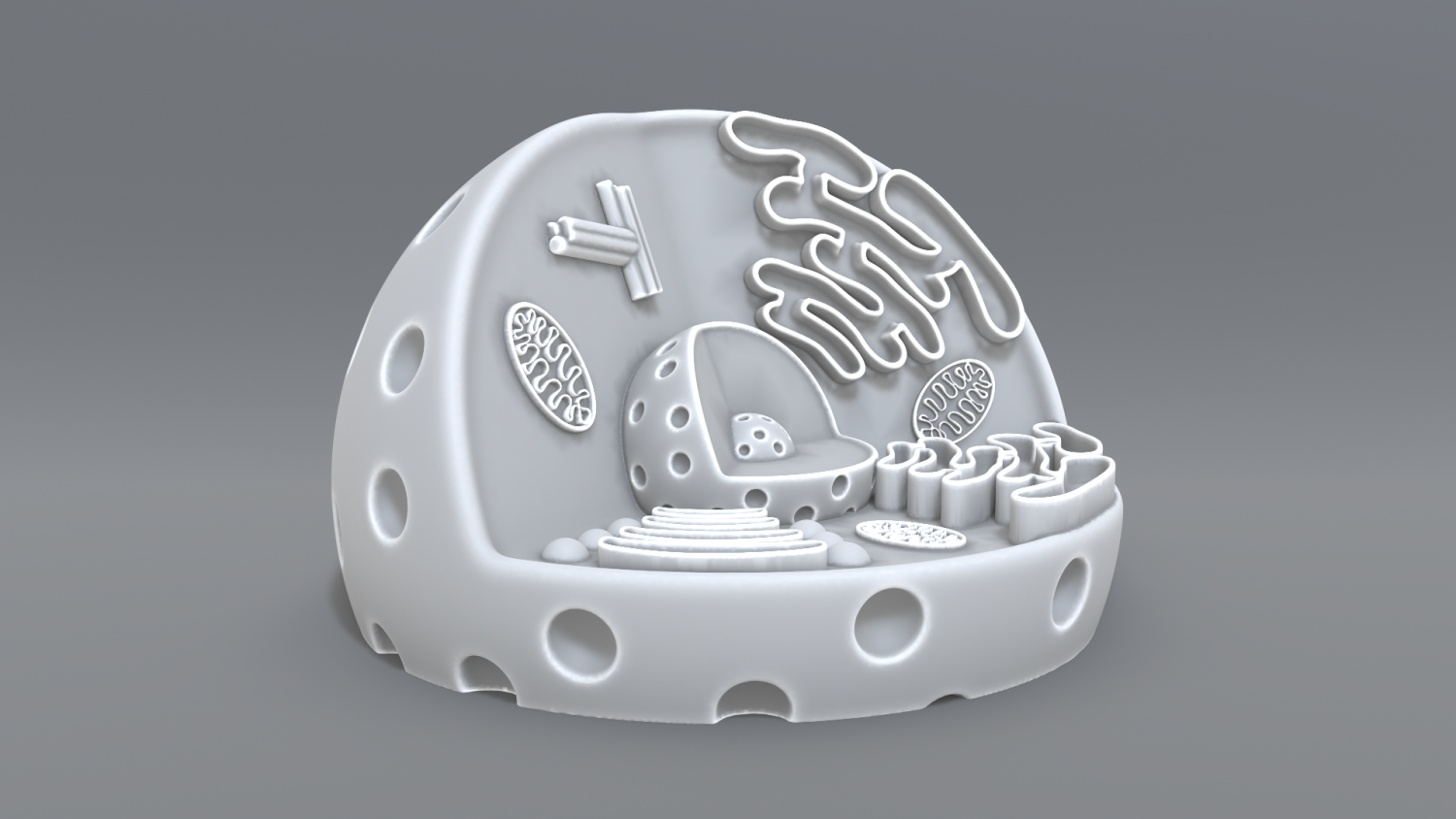 animal cell 3d print model 3D Print Model in Biology 3DExport