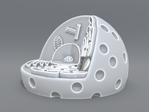 animal cell 3d print model 3D 打印模型