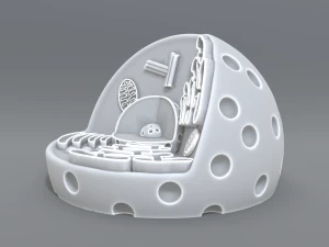 animal cell 3d print model 3D Print Model