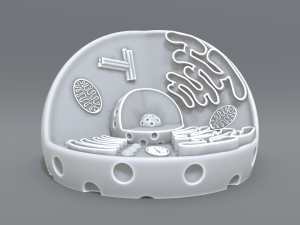 animal cell 3d print model 3D 打印模型