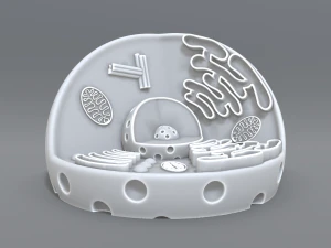 animal cell 3d print model 3D Print Model