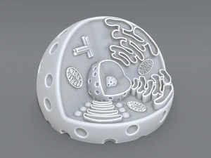 animal cell 3d print model 3D Print Model