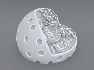 animal cell 3d print model 3D 打印模型