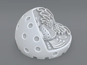 animal cell 3d print model 3D Print Model