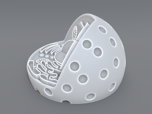 animal cell 3d print model 3D 打印模型
