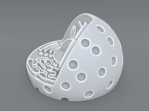 animal cell 3d print model 3D Print Model