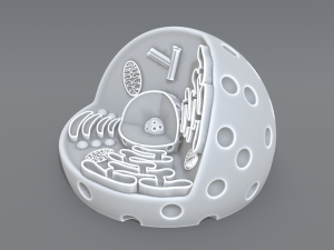 animal cell 3d print model 3D 打印模型