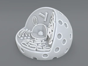 animal cell 3d print model 3D Print Model