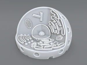 animal cell 3d print model 3D Print Model