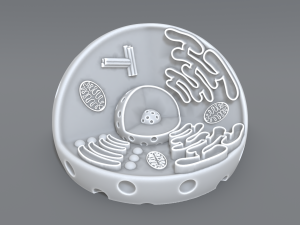 animal cell 3d print model 3D 打印模型