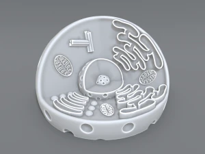 animal cell 3d print model 3D Print Model