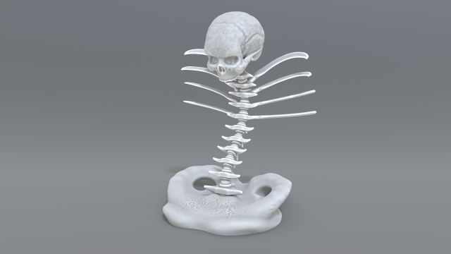 skull abstraction 3D प्रिंट मॉडल .c4d .max .obj .3ds .fbx .stl .blend 