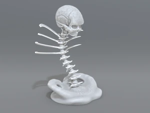 skull abstraction 3D Print Model