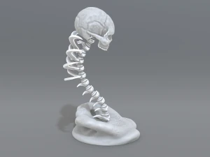skull abstraction 3D Print Model