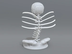 skull abstraction 3D Print Model