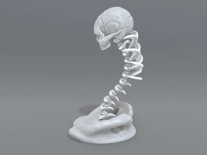 skull abstraction 3D Print Model
