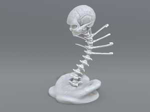 skull abstraction 3D प्रिंट मॉडल