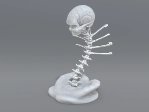 skull abstraction 3D Print Model