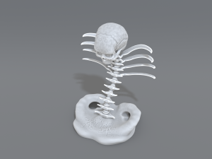 skull abstraction 3D प्रिंट मॉडल