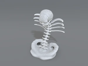 skull abstraction 3D Print Model