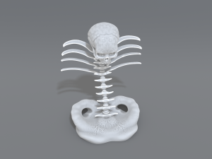 skull abstraction 3D प्रिंट मॉडल
