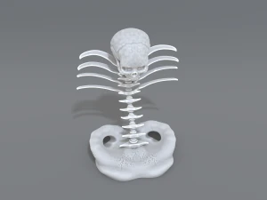 skull abstraction 3D Print Model