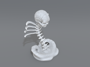 skull abstraction 3D प्रिंट मॉडल