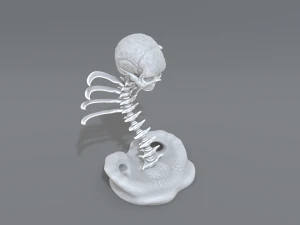 skull abstraction 3D Print Model