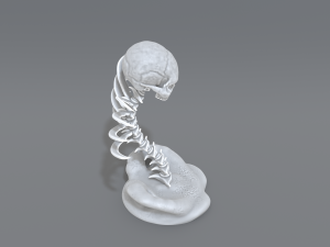 skull abstraction 3D प्रिंट मॉडल