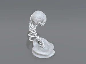 skull abstraction 3D Print Model