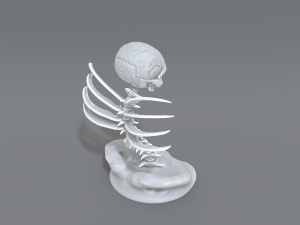 skull abstraction 3D प्रिंट मॉडल