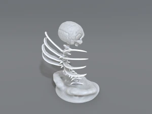 skull abstraction 3D Print Model