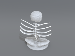 skull abstraction 3D प्रिंट मॉडल