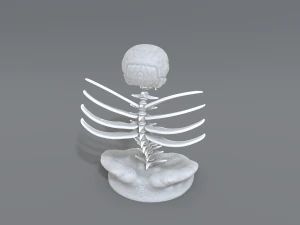 skull abstraction 3D Print Model