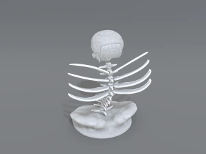 skull abstraction 3D Print Model