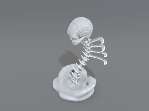 skull abstraction 3D Print Model