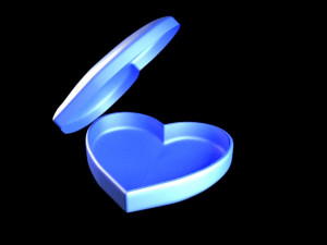 heart chest Modello 3D