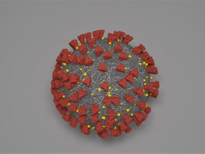 coronavirus covid-19 - virus Modelo 3D