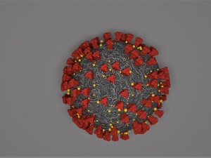 coronavirus covid-19 - virus 3D Model