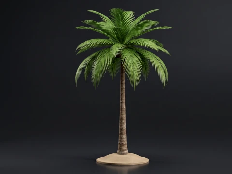 Palma l - Scarica Pbr Palm Tree Fbx Modello 3D