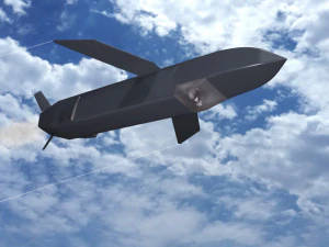 Pembawa Jarak Jauh Serangan Ringan dari Diehl Model 3D