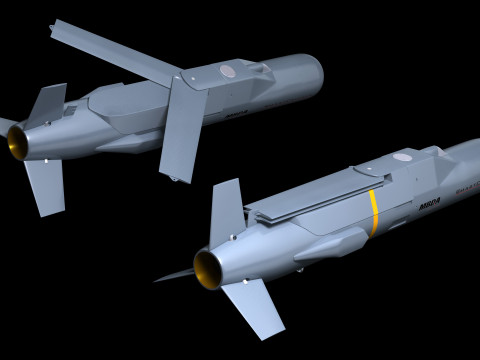 SmartGlider and SmartCruiser Modelo 3D