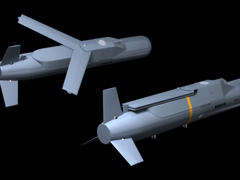 SmartGlider and SmartCruiser Modelo 3D