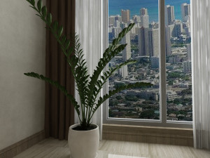 pot plant 3D मॉडल