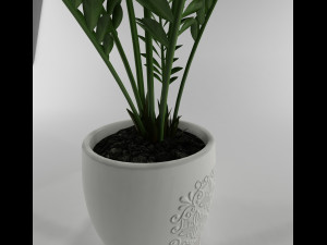 pot plant 3D-Modell